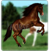 Horse Race Live  APK 1.0.5