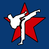 Allstar Martial Arts Academy For PC
