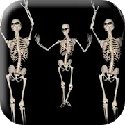 Belly Dancing Live Skeleton