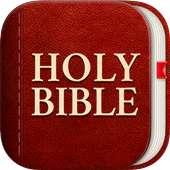 Light Bible: Daily Verses, Prayer, Audio Bible APK 3.3.7