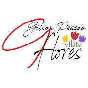 Gilson Pessoa Flores 
