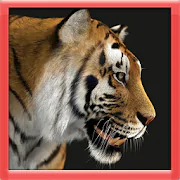 The 3D Tiger Simulator  APK 1.0