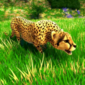 Wild Cheetah Simulator Games For PC