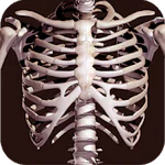 Osseous System in 3D (Anatomy) APK 3.6