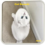 Cat Sounds 1.1.2 Latest APK Download