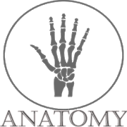 Anatomy  APK 1.0