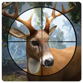 Deer Hunting 19 APK 2.5.2
