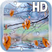 Autumn Raindrops Live HD  APK 1.2
