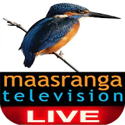 Maasranga TV Live  APK 1.0.1