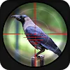 Forest Crow Hunting - 3D APK 1.4.3