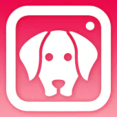 DogCam - Dog Selfie Filters and Camera For PC