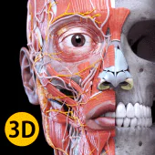 Anatomy 3D Atlas APK 5.0.0