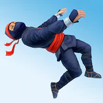 Ninja Flip Latest Version Download