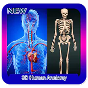 3D Human Anatomy  APK 1.0