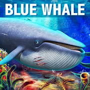 Blue Whale Simulator