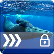 Blue Whale PIN Security Lock 