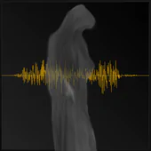 Ghost Talk APK 6.1