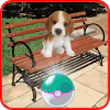 Pocket Puppy Pet Go! APK v1.5 (479)