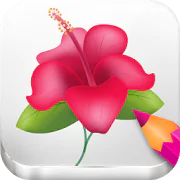 Drawing Flowers, Easy Instructions  APK 3.12