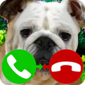 fake call dog game APK 9.0