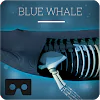 Blue whale VR APK 1.0.3