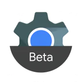 Android System WebView Beta APK 125.0.6422.3