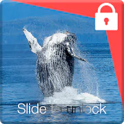 Blue Whale Screen Lock