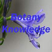 Botany knowledge test APK 1.1