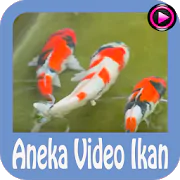 Aneka Video Ikan  APK 1.0