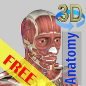 3D Bones and Organs (Anatomy) APK 5.8