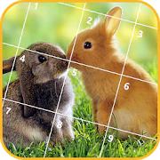 Jigsaw Puzzle: Animals  APK 1.1