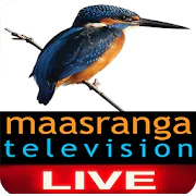 Maasranga Tv Live