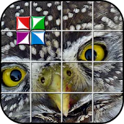 Tile Puzzle Owl 