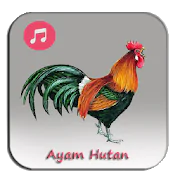 Ayam Ketawa Hutan 3.1 Latest APK Download