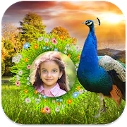 Peacock Photo Frames 1.0.1 Latest APK Download