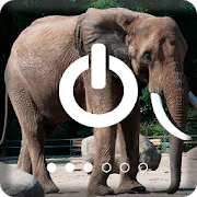 African Animals Elephant Screen Lock  APK 1.0