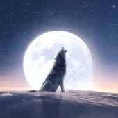 Moonovel-Werewolf Romance APK 1.4.0