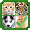 Guess 4 Pics 1 Wrong 1.21 Android for Windows PC & Mac