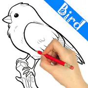 How To Draw Birds Step by Step  APK 1.0