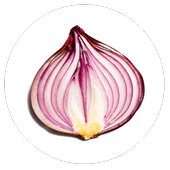 Onion Search Engine in PC (Windows 7, 8, 10, 11)