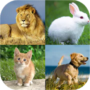 Animal quiz - Animal matching 