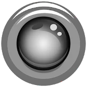IP Webcam in PC (Windows 7, 8, 10, 11)