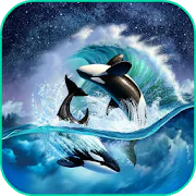 Whale Lock Screen Live WP  APK 1.0