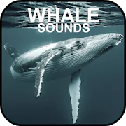 Whale Sounds  APK 2.0