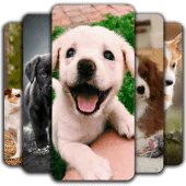 Puppy Wallpaper For PC