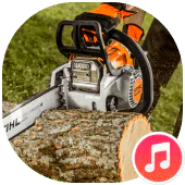 Chainsaw Sounds For PC