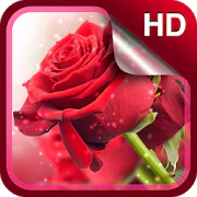 Red Roses Live Wallpaper HD  APK 3.3