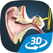 The mechanism of hearing educational VR 3D APK v1.24 (479)