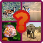 GUESS THE ANIMAL 