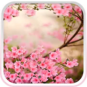 Spring Flowers Live Wallpaper 8.0 Latest APK Download
